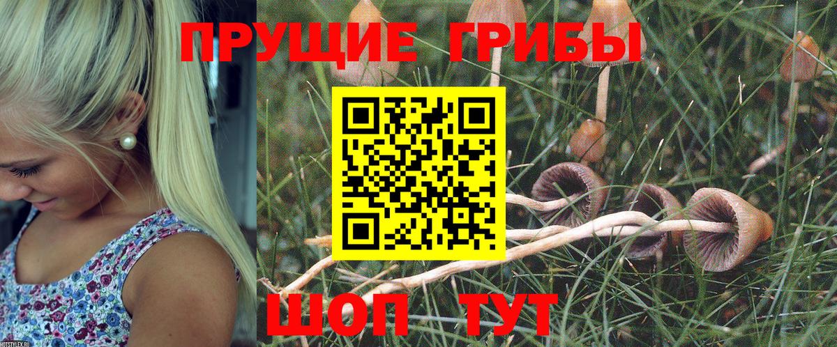 Галлюциногенные грибы Psilocybe  Вход с VPN  Галлюциногенные грибы прущие грибы  Асино 